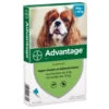 Advantage Advantage Hond 100 - 4-10 Kilo 4 Pip -honden benodigdheden advantage advantage hond 100 4 10 kilo 4 pip