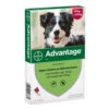Advantage Advantage Hond 250 - 10-25 Kilo 4 Pip 1 Advantage Advantage Hond 250 - 10-25 Kilo 4 Pip -honden benodigdheden advantage advantage hond 250 10 25 kilo 4 pip