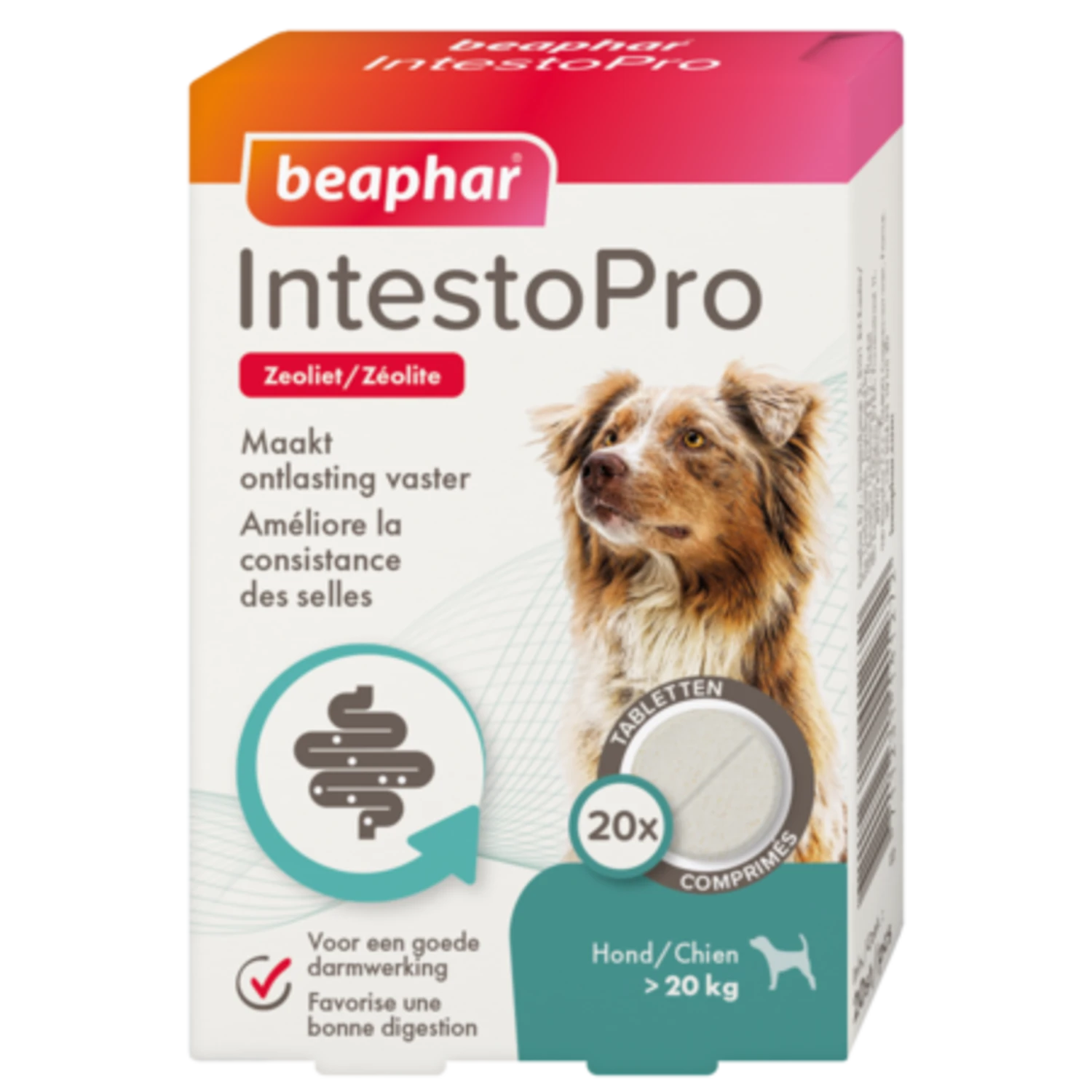 Beaphar Beaphar IntestoPro Hond Vanaf 20 Kg 3 Beaphar Beaphar IntestoPro Hond Vanaf 20 Kg