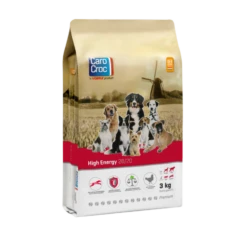 CaroCroc CaroCroc High Energy