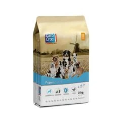 CaroCroc CaroCroc Puppy