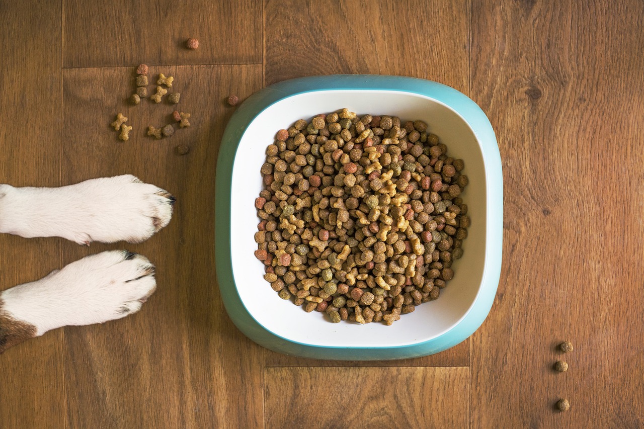 Voorkant -honden benodigdheden dog food 5168940 1280
