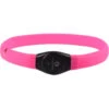 Flamingo Brede LED Halsband Hond - Verstelbaar - 65 X 2.5 Cm - Roze - Lichtgevende Halsband -honden benodigdheden flamingo brede led halsband hond verstelbaar 65 x