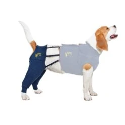 MPS Medical Pet Shirt HLS Hind L - 1 Stuk -honden benodigdheden mps medical pet shirt hls hind l 1 stuk 9