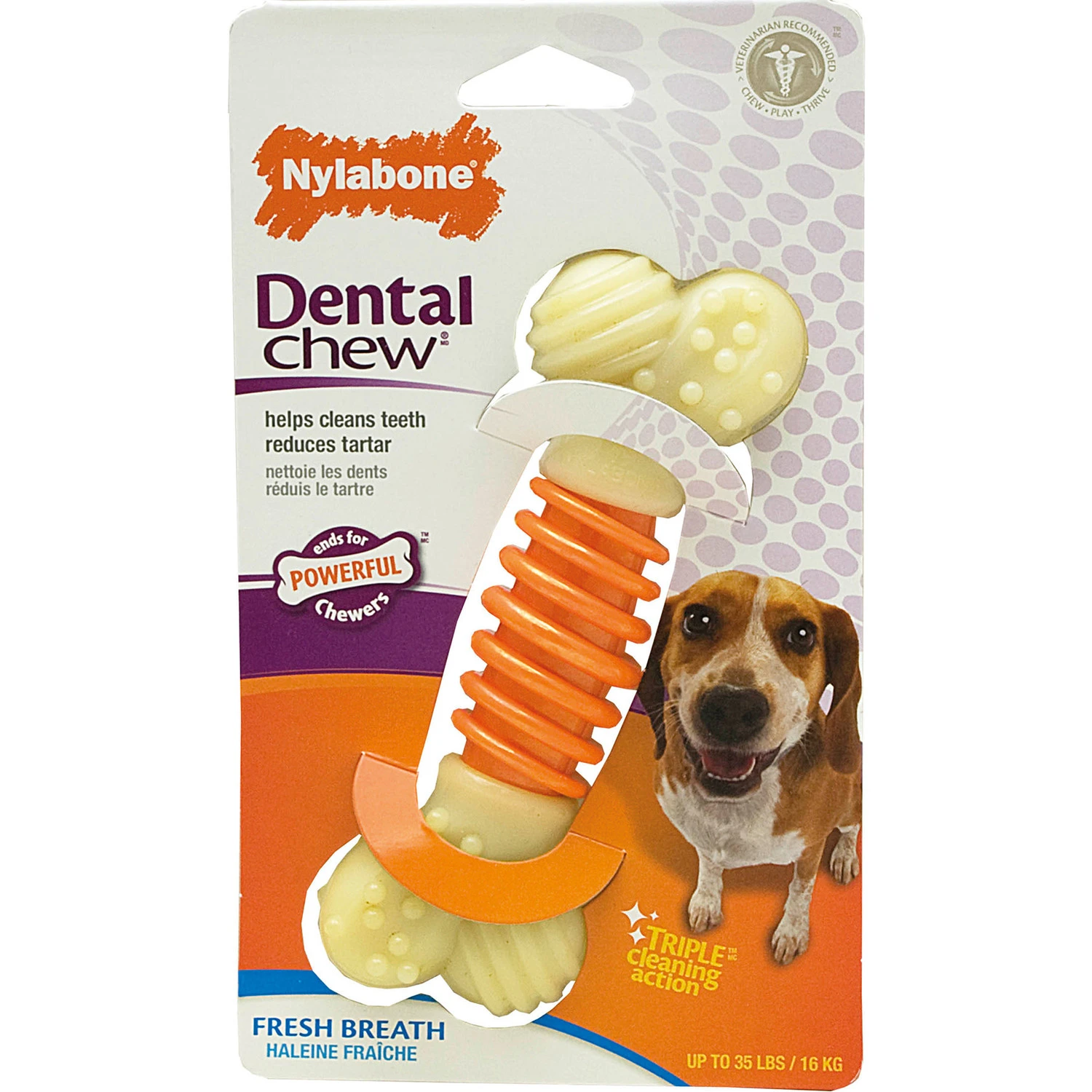 Nylabone Nylabone Dental Device Pro Active M - Tot 16 Kilo 3 Nylabone Nylabone Dental Device Pro Active M - Tot 16 Kilo