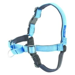 PetSafe Easy Walk Deluxe Harness - Ocean Blue -honden benodigdheden petsafe easy walk deluxe harness ocean blue 2
