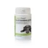 PhytoTreat PhytoTreat Glucosamine-Extra Hond Valuepack - 90 Tabletten -honden benodigdheden phytotreat phytotreat glucosamine extra hond value