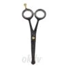 Tools-2-Groom 205-BTC Black Edge Potenschaar Gebogen 5" -honden benodigdheden tools 2 groom 205 btc black edge potenschaar gebog