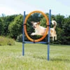 Trixie Trixie Agility Fun Ring - 115 × ø 3 Cm, ø 65 Cm