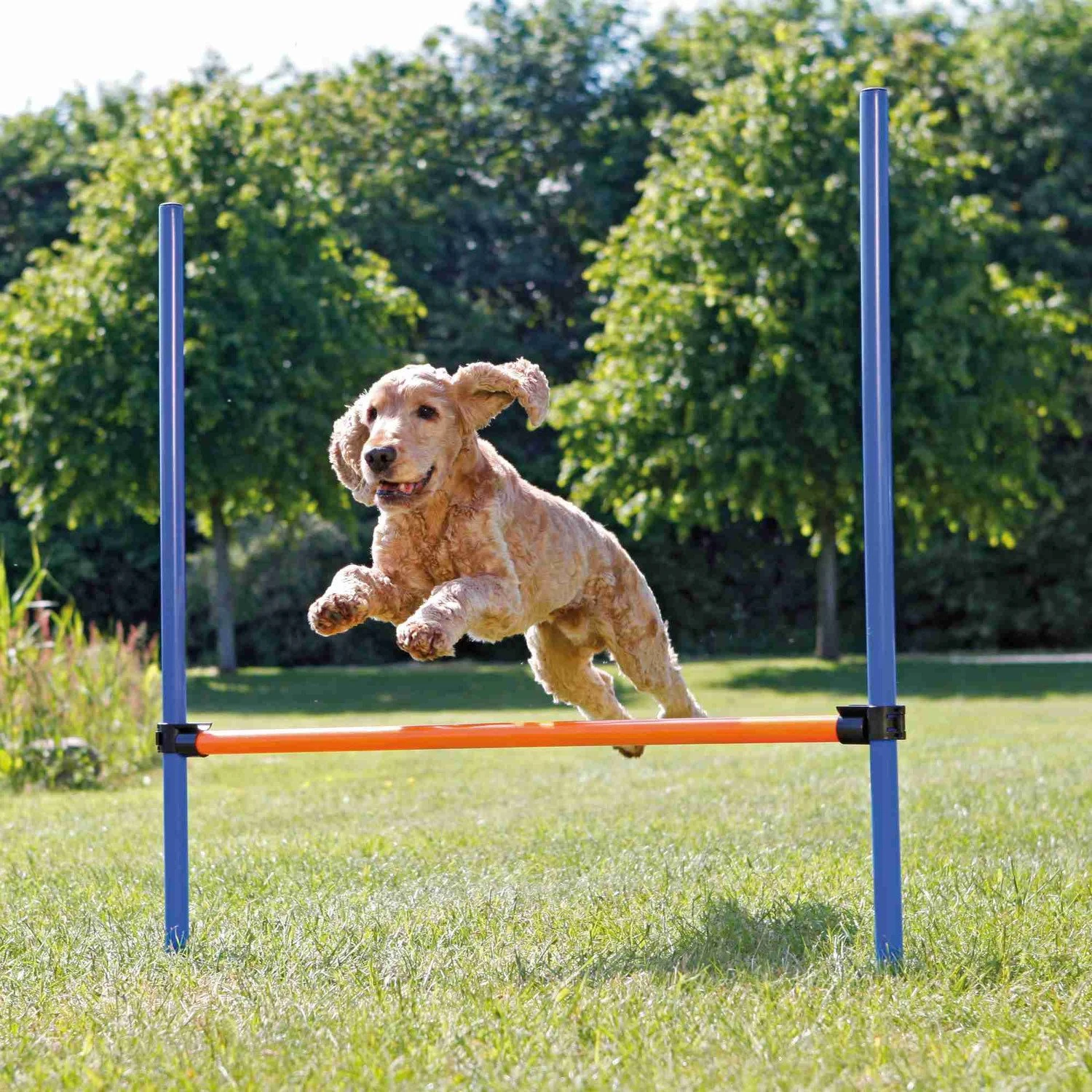 Trixie Trixie Agility Horde - 123 × 115 Cm - ø 3 Cm 4 Trixie Trixie Agility Horde - 123 × 115 Cm - ø 3 Cm - Afbeelding 2