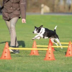 Trixie Trixie Agility Hordenset -honden benodigdheden trixie trixie agility hordenset 5